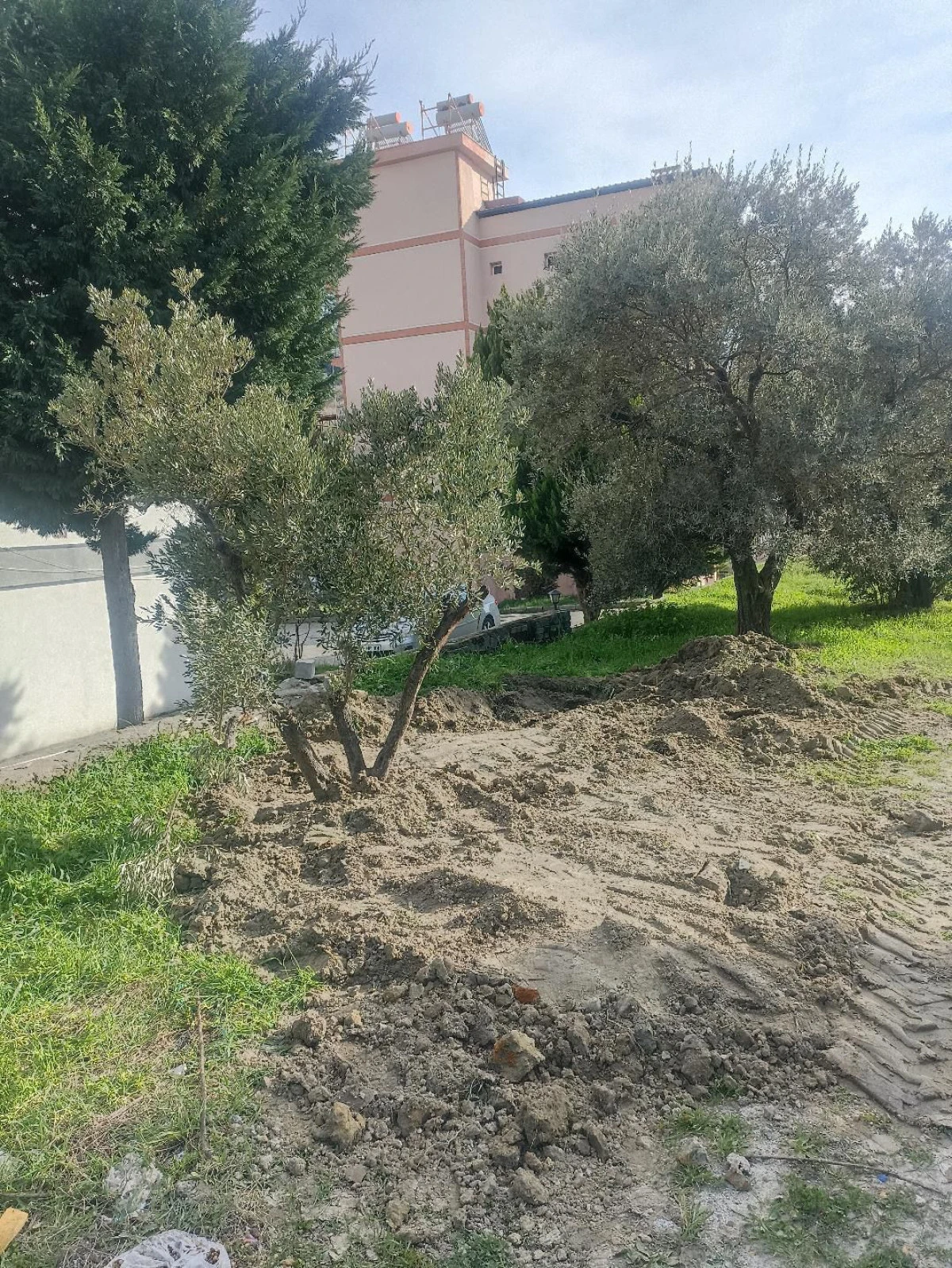 AİT OLDUĞU TOPRAKLA BULUŞTU! 