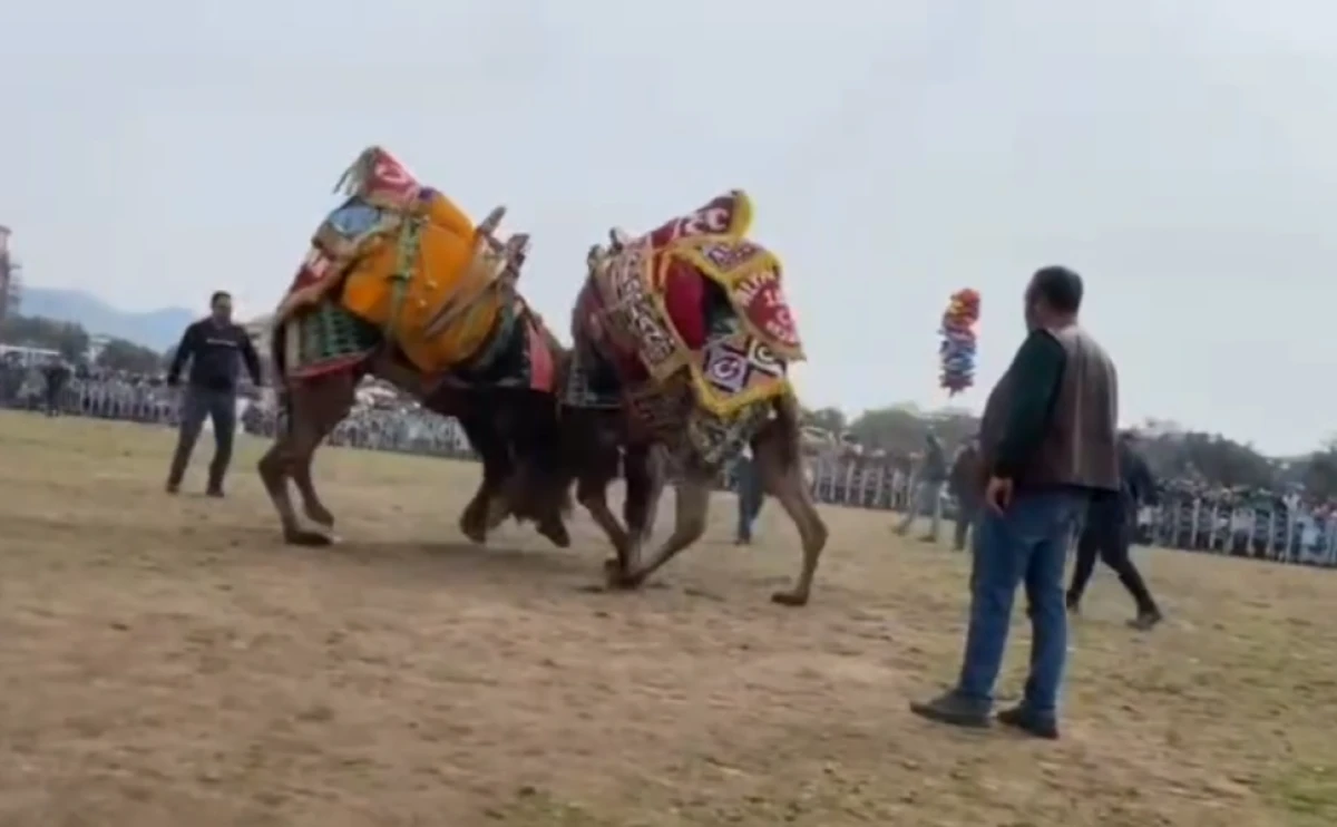 ARENA YASAĞI KALKTI TAKVİM A&Ccedil;IKLANDI!