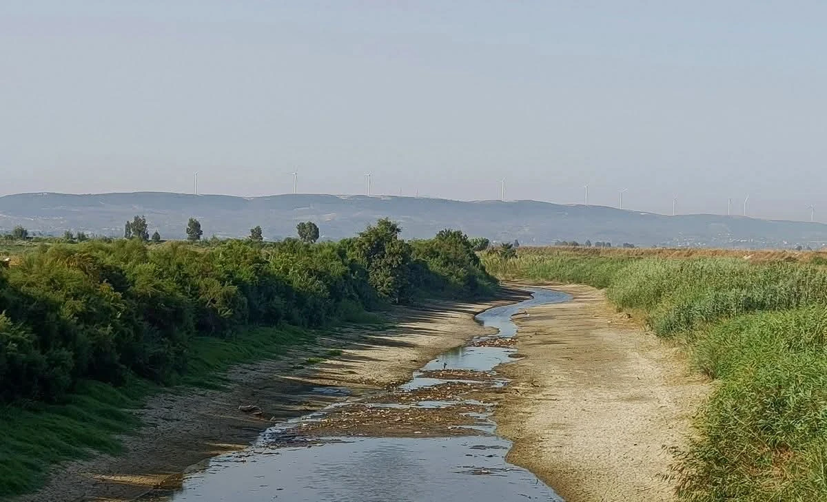 AYDIN’DA UMUTLAR YAĞMURA KALDI!