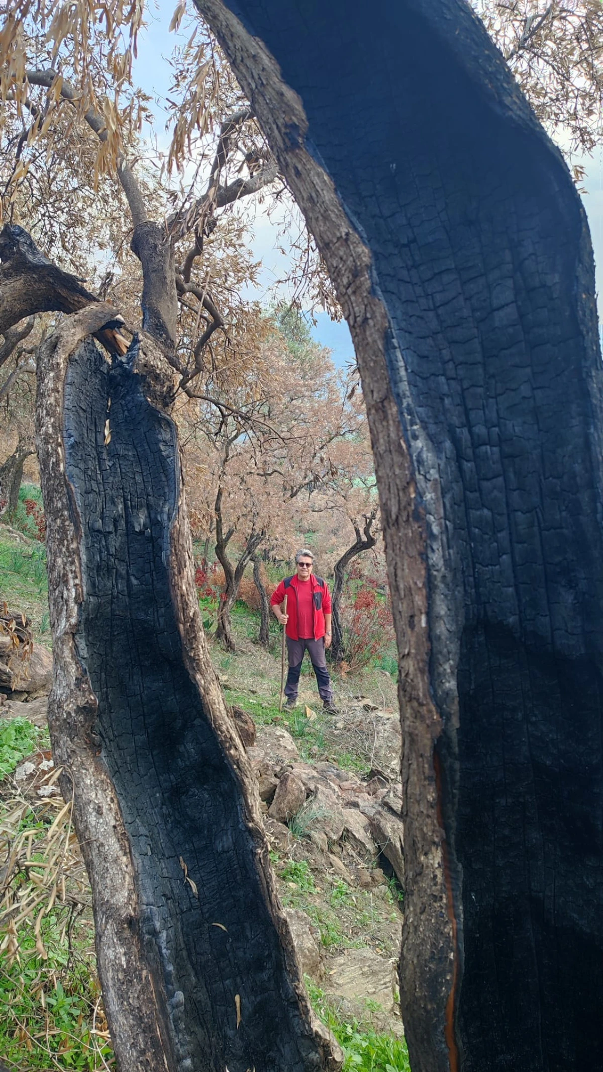 BEŞPARMAK DAĞLARI’NDA YANGININ İZLERİ VE DOĞANIN MUCİZESİ!