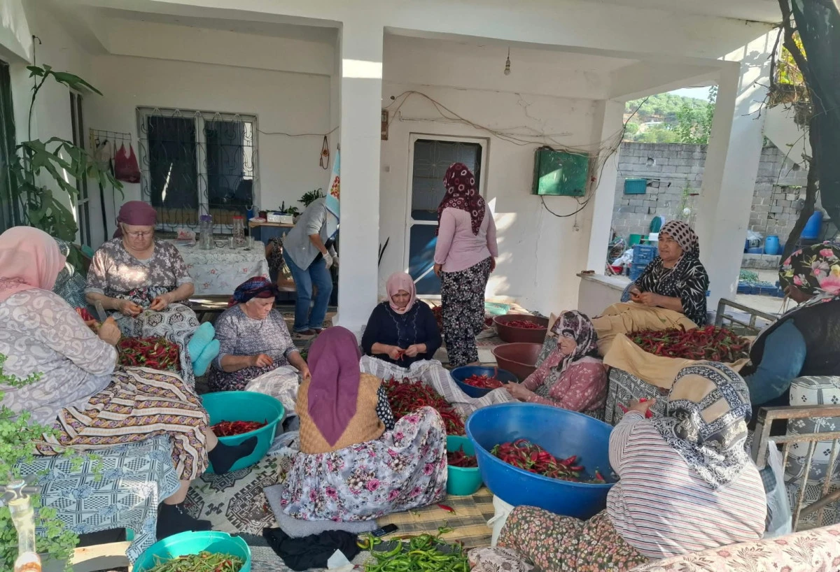 BURUNK&Ouml;Y&rsquo;DE KOMŞULUĞUN EN G&Uuml;ZEL HALİ!