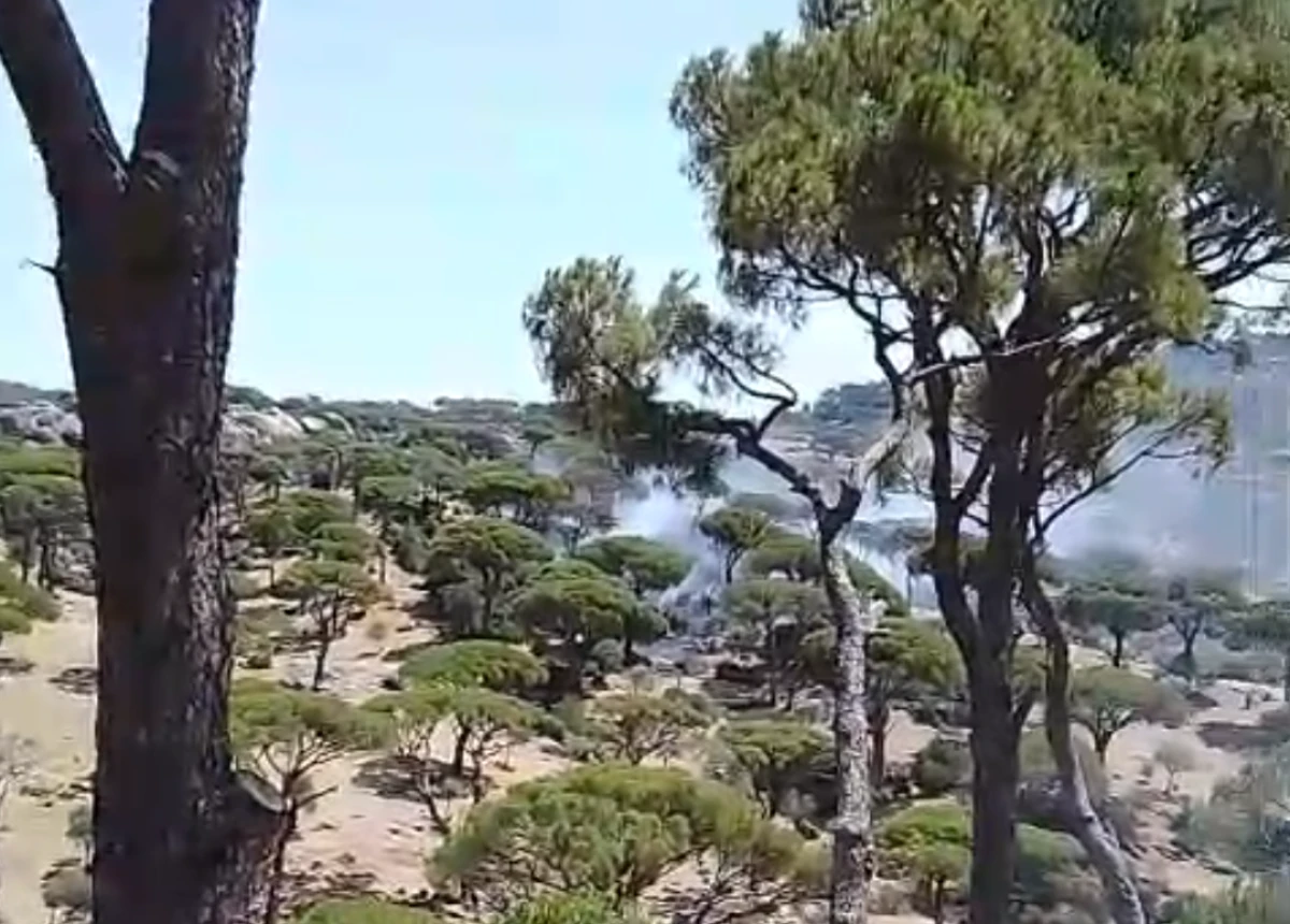 ÇAVDAR’DA KORKUTAN ORMAN YANGINI! 