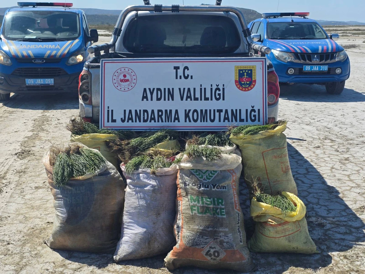 DENİZ B&Ouml;R&Uuml;LCESİ TOPLARKEN YAKALANDILAR!