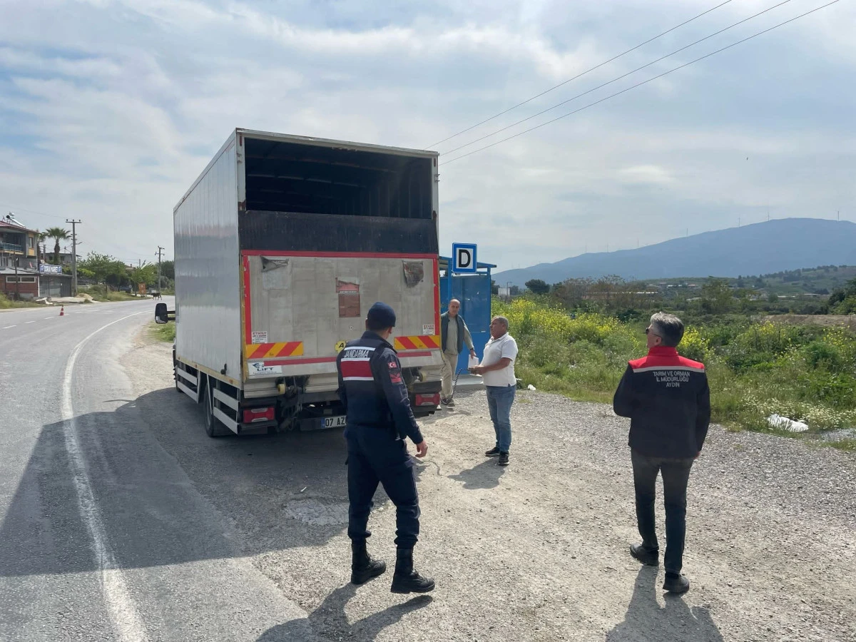 KUŞADASI KARANTİNADA!