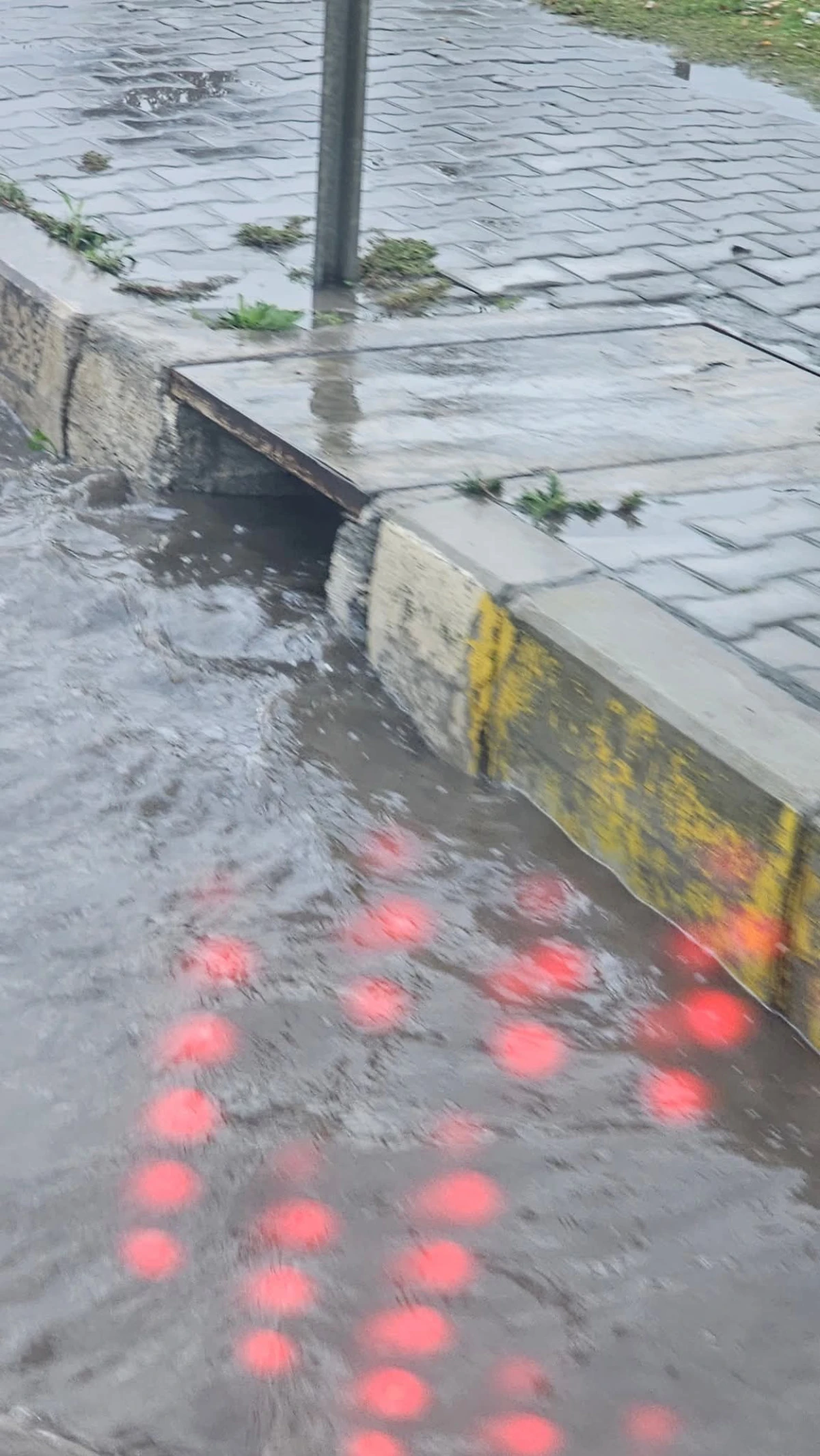 MUHTARIN MAZGAL İSYANI!