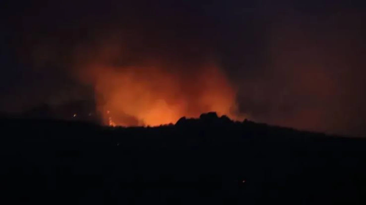 SÖKE AĞAÇLI’DA ORMAN YANGINI PANİĞİ! 