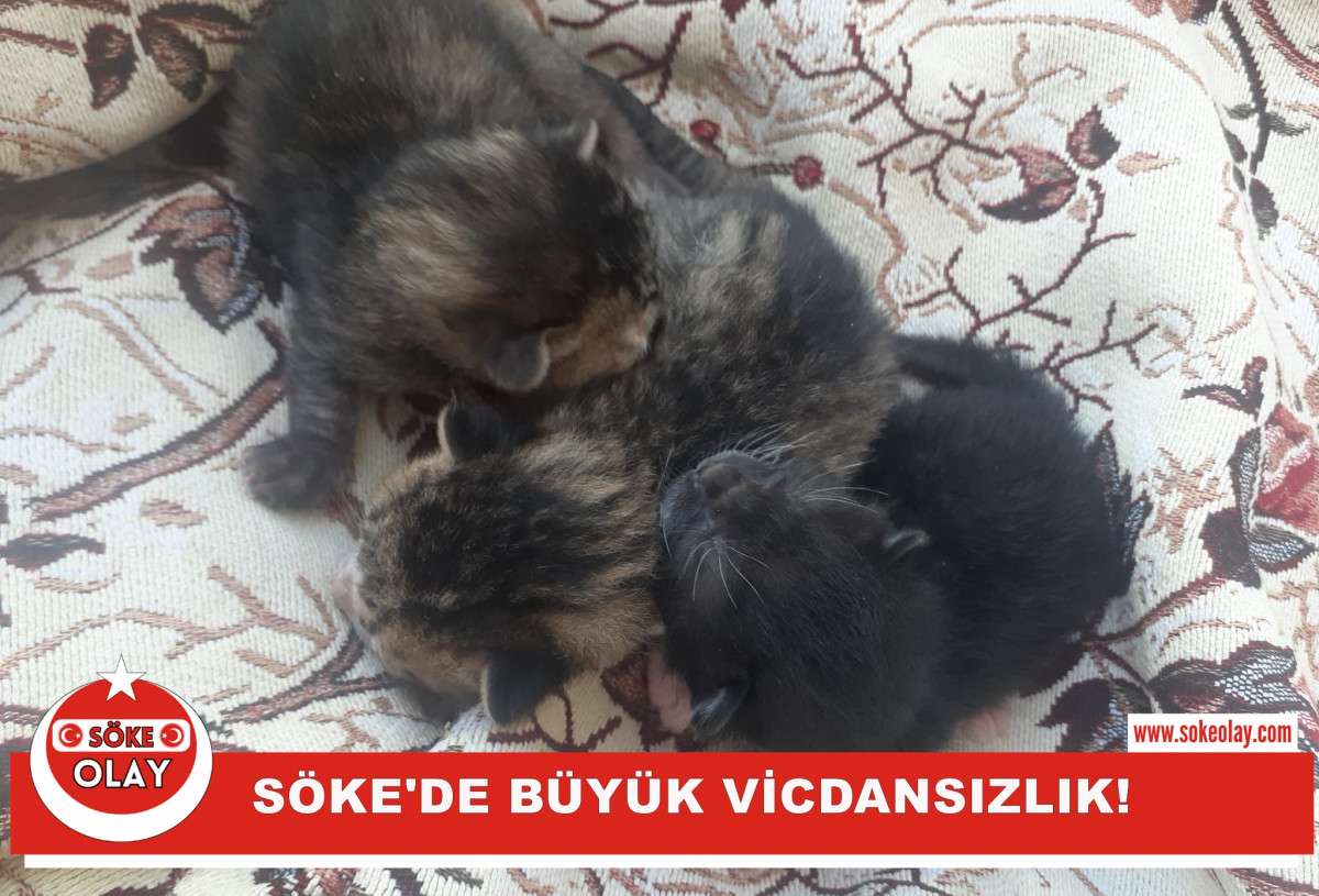 SÖKE’DE BÜYÜK VİCDANSIZLIK!