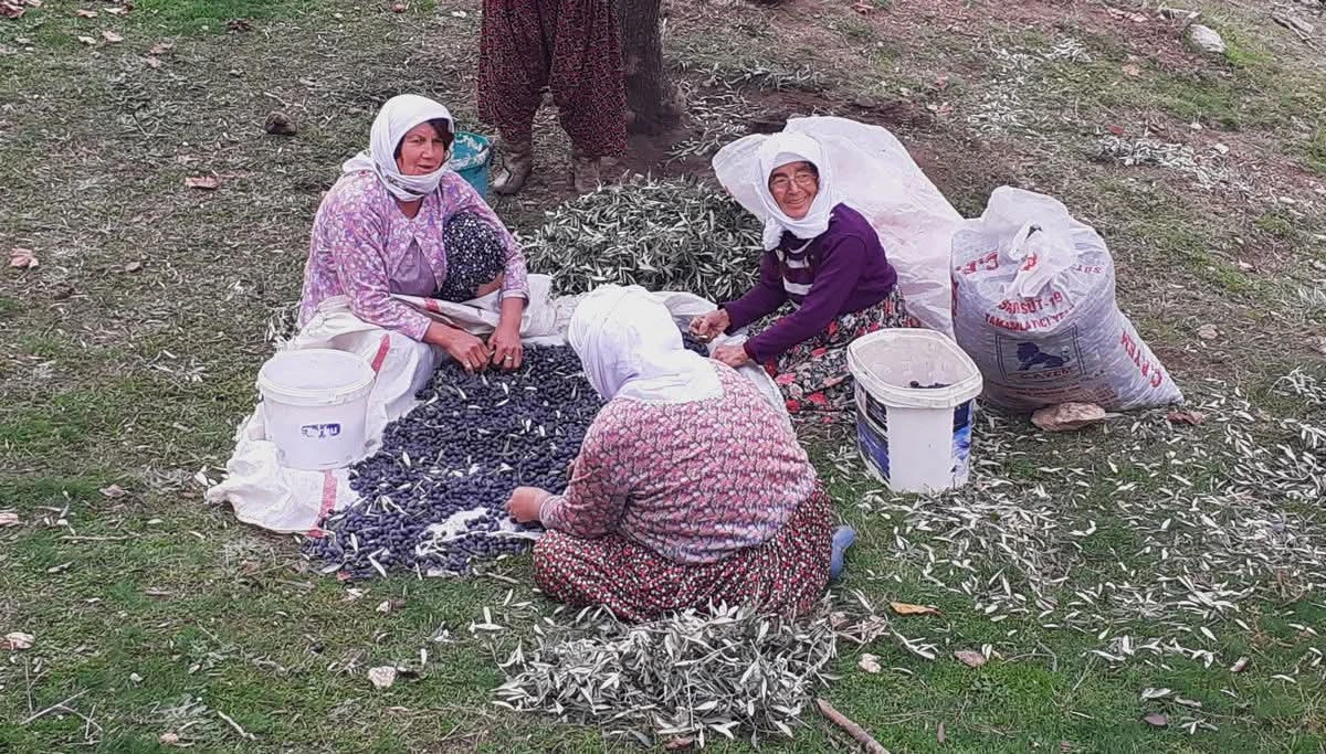 SÖKE’DE DOĞAYA BİR TEHDİT DAHA! 