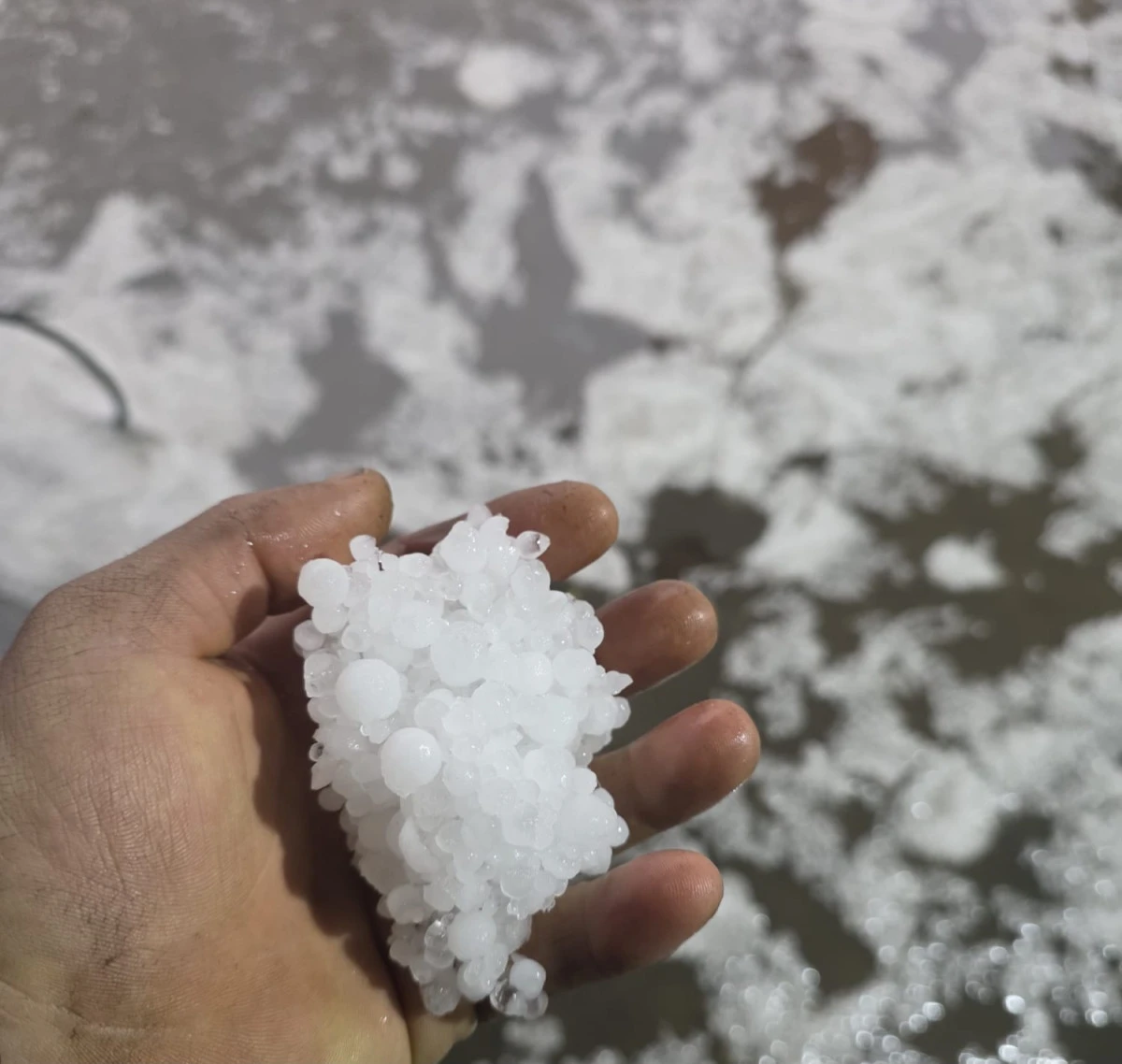 S&Ouml;KE&rsquo;DE SAĞANAK YAĞMUR HAYATI OLUMSUZ ETKİLİYOR