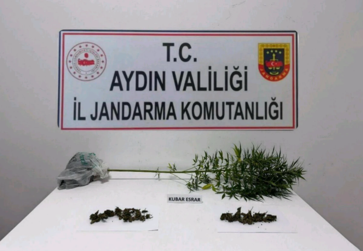 S&Ouml;KE&rsquo;DE ŞAŞIRTAN ARAMA!