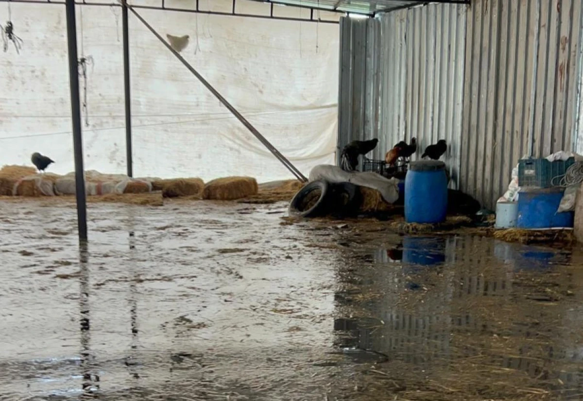 S&Ouml;KE&rsquo;DE SEL FELAKETİ! 