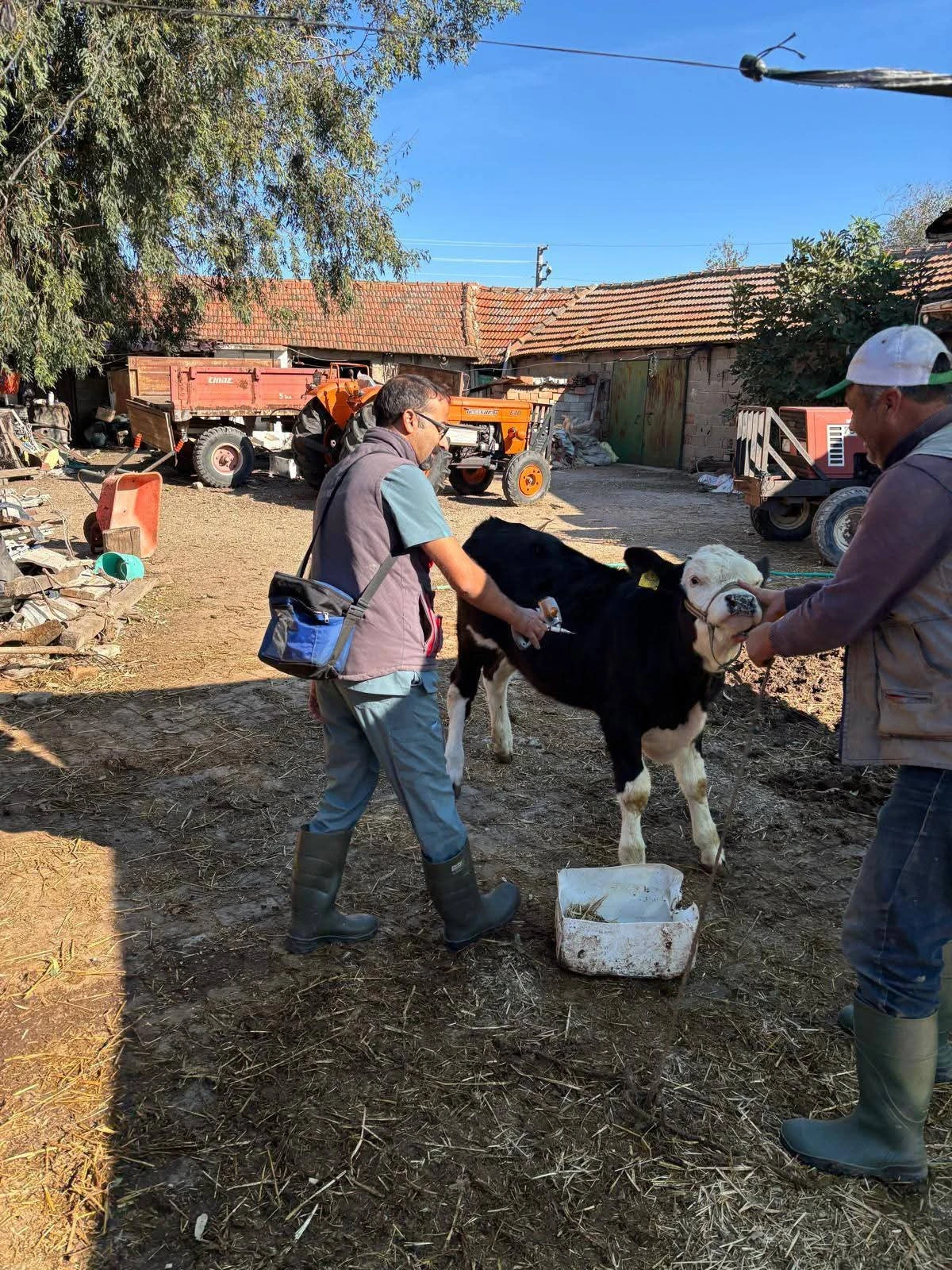 SÖKE’DE TARIMIN KAHRAMANLARI GÖREV BAŞINDA! 