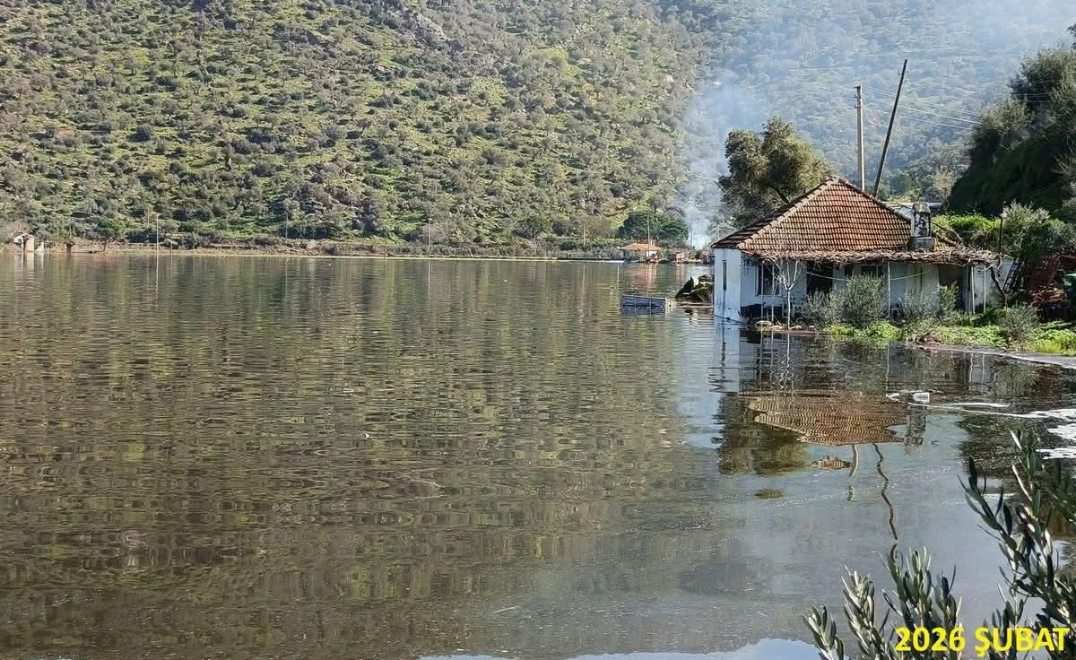 S&Ouml;KE&rsquo;DE TAŞKIN TARLALARI G&Ouml;LE &Ccedil;EVİRDİ
