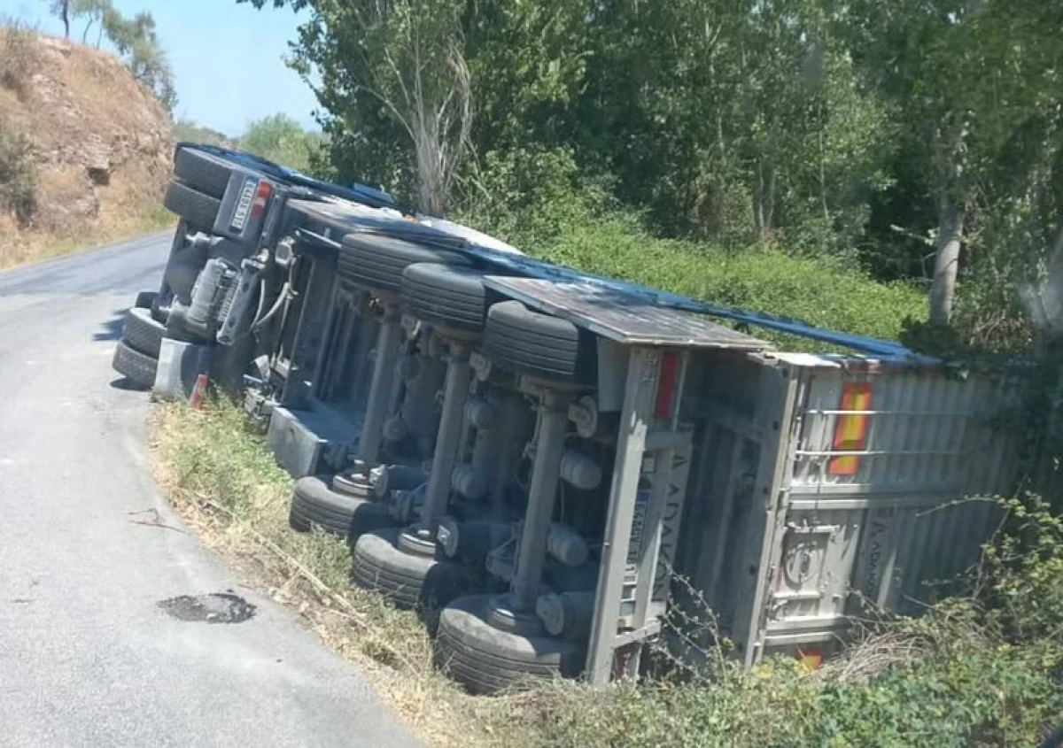 SÖKE'DE TIR ŞARAMPOLE DEVRİLDİ 
