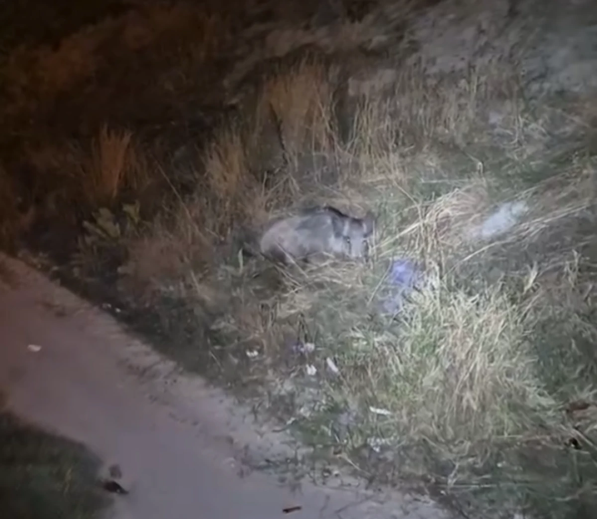 SÖKE’DE ÜZÜCÜ MANZARA! 