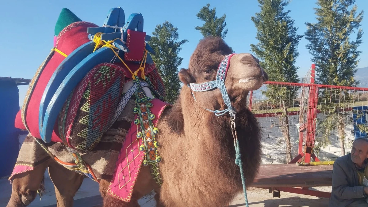 UZUN BEKLEYİŞ SONA ERDİ! 